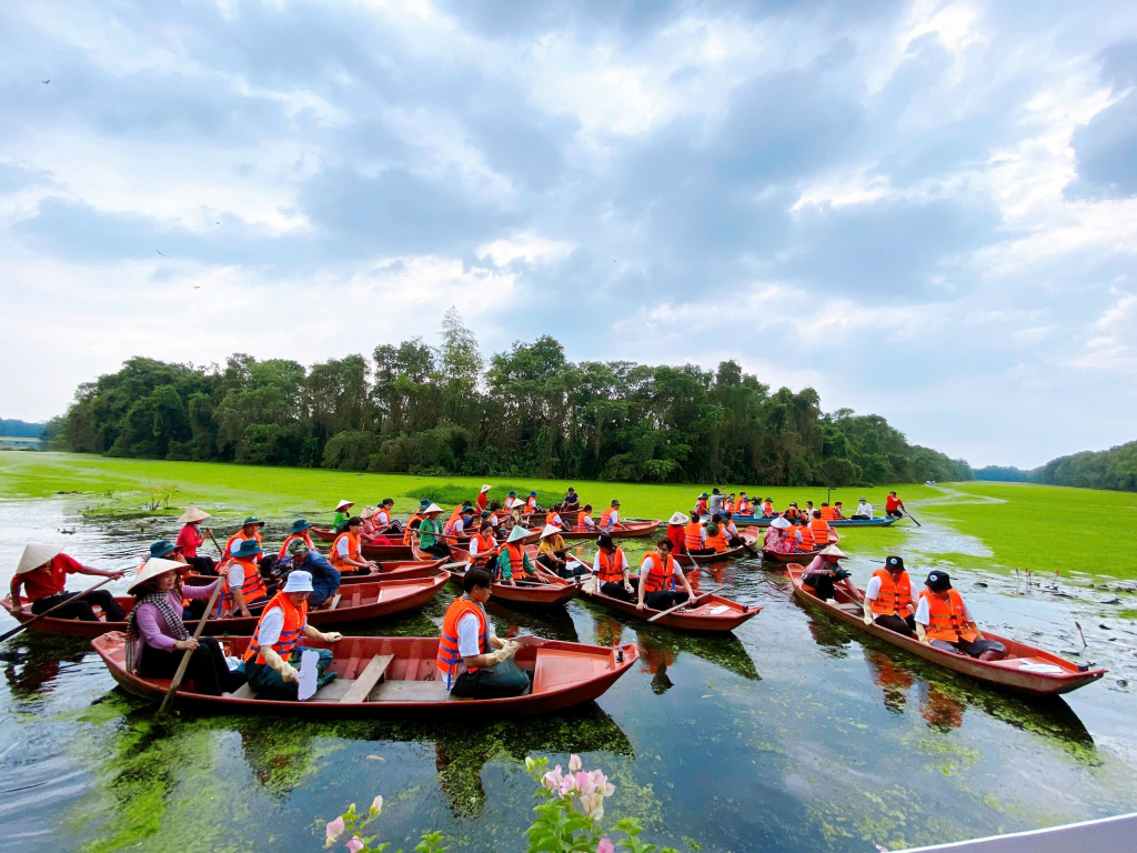 Mảnh rừng phác họa non sông