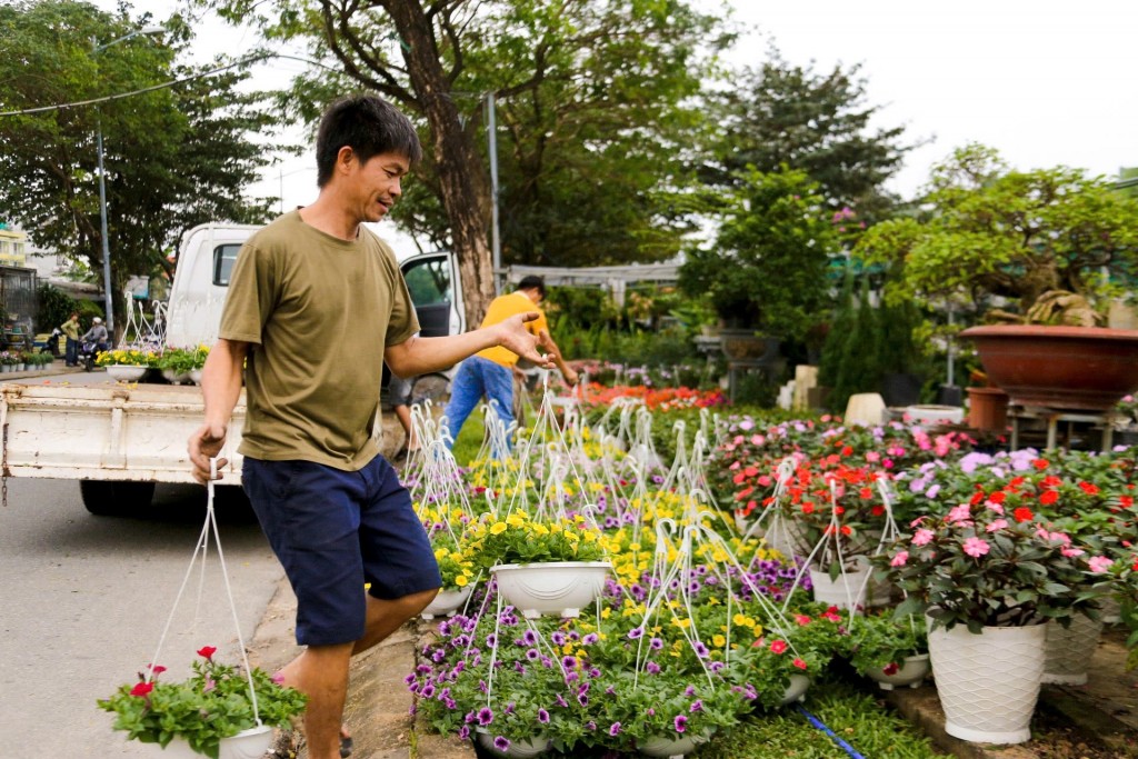 Đà Nẵng: Hoa tết rộn ràng xuống phố, chủ vườn ngóng chờ người mua