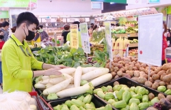 Thủ tướng yêu cầu bảo đảm an toàn thực phẩm dịp Tết Nguyên đán và lễ hội xuân