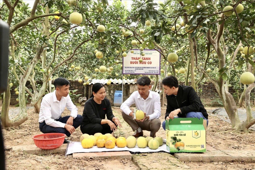 Thúc đẩy chuyển đổi số, ứng dụng công nghệ cao trong nông nghiệp