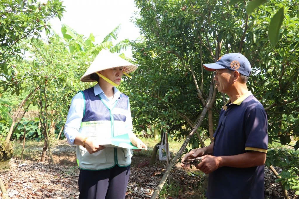 Thúc đẩy chuyển đổi số, ứng dụng công nghệ cao trong nông nghiệp