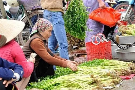 chợ Đình thôn Nam Lạng, xã Trực Tuấn