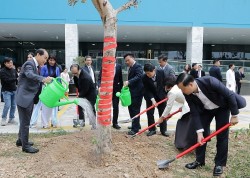 Ngành Y tế phát động "Tết trồng cây Xuân Ất Tỵ năm 2025"