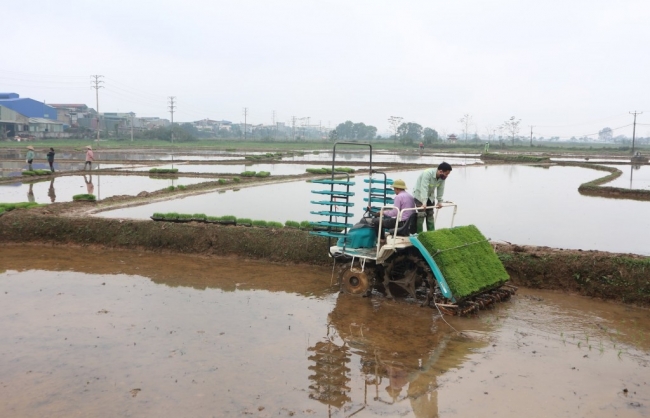 Hà Nội: Vận hành tối đa công trình thủy lợi để lấy nước đợt 2