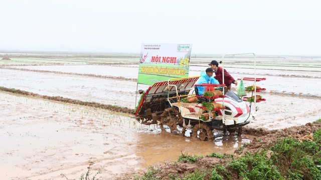 Hà Nội: Vận hành tối đa công trình thủy lợi để lấy nước đợt 2