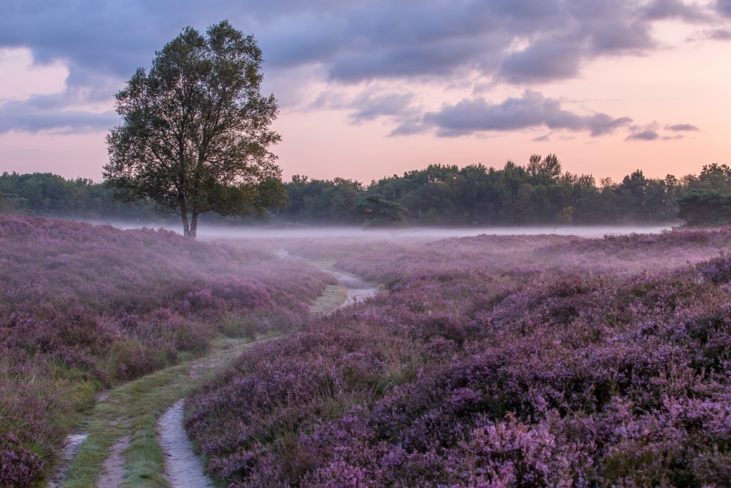 Drenthe, Hà Lan