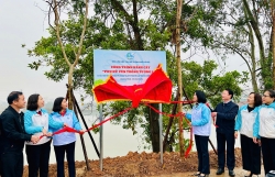 Phụ nữ Thủ đô phấn đấu trồng 5.000 cây xanh