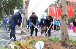 Phát động Tết trồng cây Xuân Ất Tỵ 2025 tại quận Hai Bà Trưng