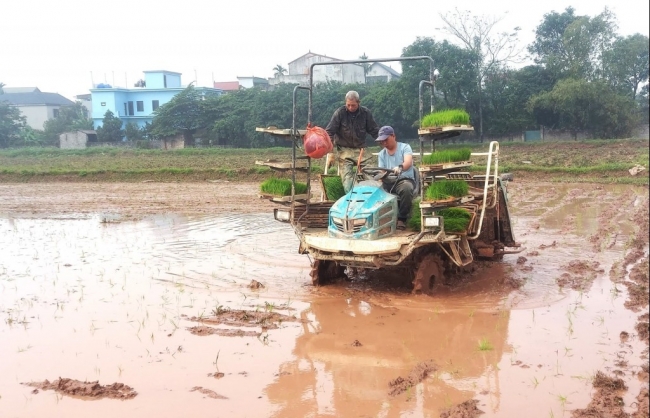 Theo dõi diễn biến dòng chảy, đảm bảo lấy nước gieo cấy vụ Xuân