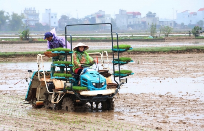 Sắp diễn ra Hội thi cơ sở sản xuất mạ khay, vận hành máy cấy giỏi năm 2025