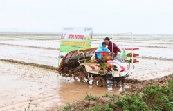 Nông dân hối hả xuống đồng sản xuất vụ Xuân