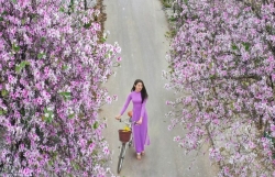 Mùa xuân - mùa nở bừng hi vọng