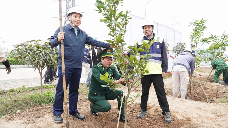 Nhiệt điện Thái Bình 2: “Tết trồng cây đời đời nhớ ơn Bác Hồ”