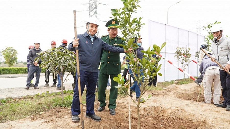 Nhiệt điện Thái Bình 2: “Tết trồng cây đời đời nhớ ơn Bác Hồ”
