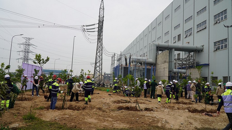 Nhiệt điện Thái Bình 2: “Tết trồng cây đời đời nhớ ơn Bác Hồ”