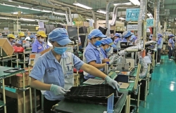 Không để việc sắp xếp bộ máy ảnh hưởng đến sản xuất, kinh doanh