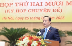 Xem xét, quyết nghị các nội dung liên quan đến sắp xếp bộ máy