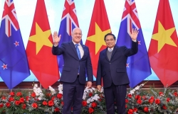 Việt Nam và New Zealand thúc đẩy ký kết các thỏa thuận hợp tác về kinh tế, thương mại và đầu tư