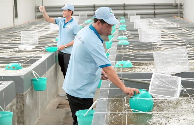 Tập trung tìm giải pháp để thúc đẩy xuất khẩu nông, lâm thuỷ sản