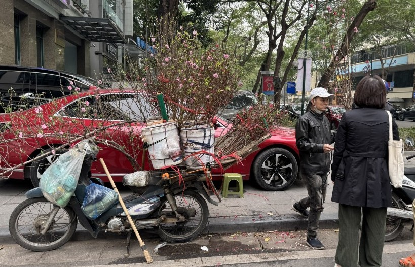 Đừng để những cành hoa cũng biết buồn...