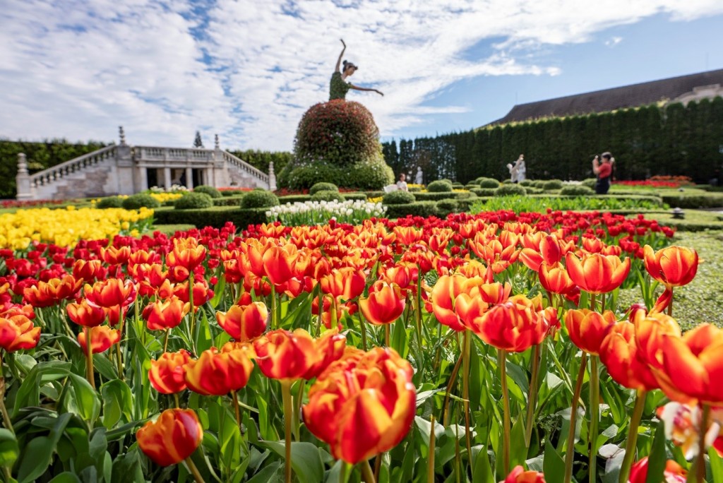 Ngoài khung cảnh thần tiên giữa biển mây, Sun World Ba Na Hills vẫn khiến lòng người mê mẩn bởi những vườn hoa tulip đang khoe sắc rực rỡ vẫn đang độ nở rực rỡ nhất. Ngoài khung cảnh thần tiên giữa biển mây, Sun World Ba Na Hills vẫn khiến lòng người mê mẩn bởi những vườn hoa tulip đang khoe sắc rực rỡ vẫn đang độ nở rực rỡ nhất.