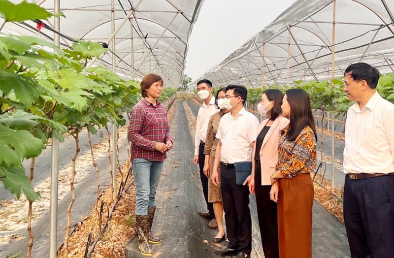 Chị Đặng Thị Cuối (ngoài cùng bên trái) chia sẻ kinh nghiệm xây dựng mô hình sản xuất rau hữu cơ công nghệ cao. Ảnh: Thu Hà