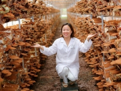 Nữ giám đốc thành công với bí quyết “3 trong 1”