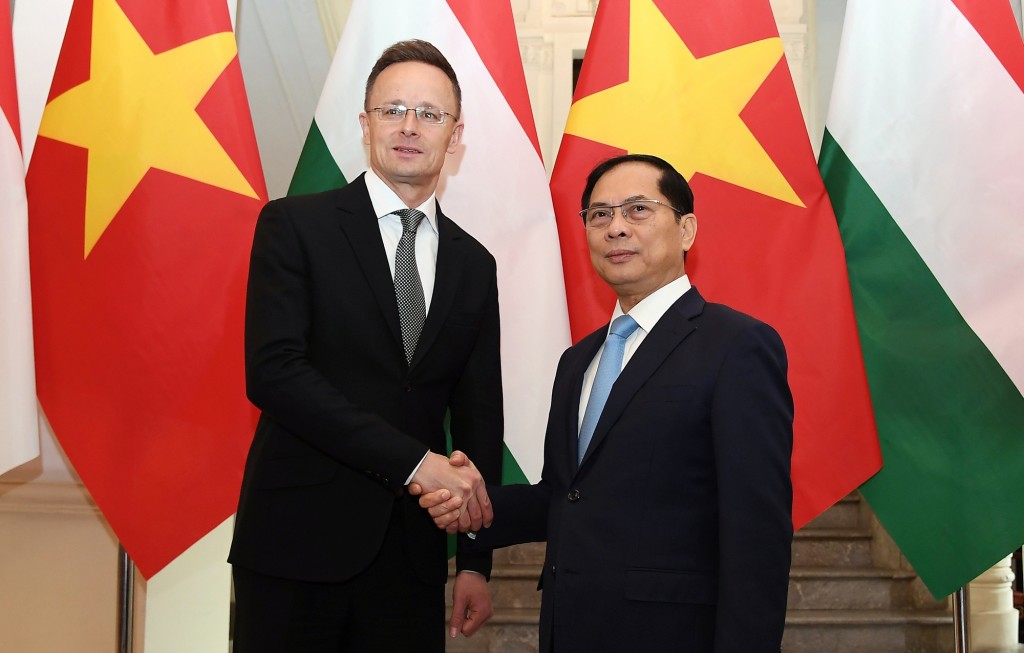 Phó Thủ tướng, Bộ trưởng Ngoại giao Bùi Thanh Sơn hội đàm với Bộ trưởng Bộ trưởng Bộ Ngoại giao và Kinh tế đối ngoại Szijjártó Péter - Ảnh: VGP/Hải Minh