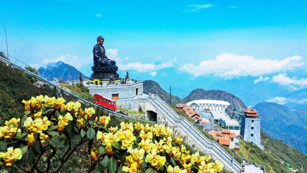 Hành trình săn hoa đỗ quyên trên đỉnh trời Tây Bắc