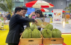 Hội chợ hàng Việt Nam tiêu biểu xuất khẩu 2025 đạt nhiều kỷ lục