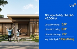 VIB ra mắt gói vay căn hộ, nhà phố 45.000 tỷ đồng