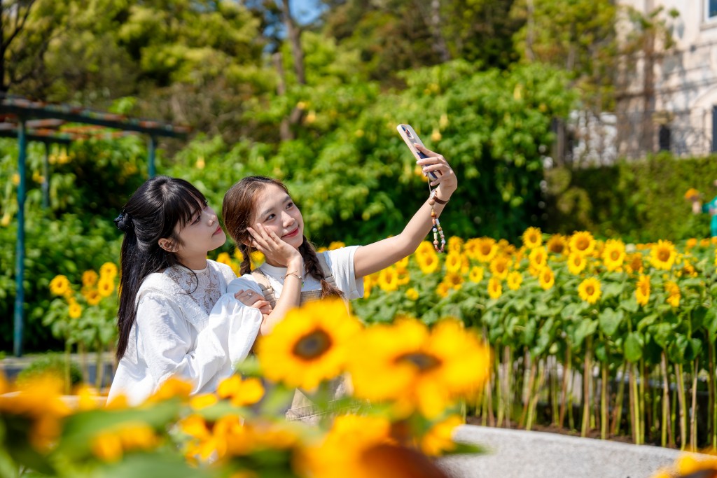 Sun World Ba Na Hills rực rỡ sắc vàng với Lễ hội Hoa Mặt trời