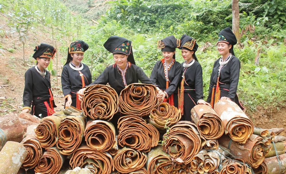 Yên Bái - điểm sáng về xây dựng Nông thôn mới