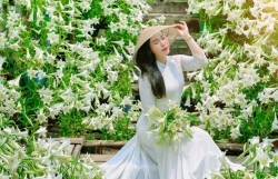 Mùa loa kèn gọi nắng hè về