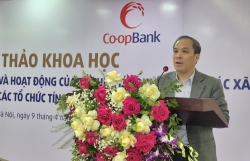 Tổ chức tín dụng hợp tác xã là mắt xích quan trọng trong hệ thống tài chính quốc gia