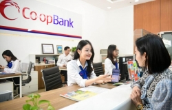 Tăng vai trò của Nhà nước trong hỗ trợ các tổ chức tín dụng là hợp tác xã