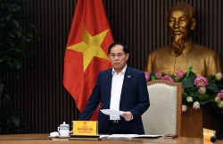 Triển khai nhanh hơn, hiệu quả hơn các cam kết quốc tế