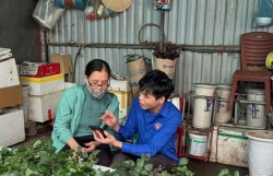 Sôi động phong trào Bình dân học vụ số khắp mọi miền Tổ quốc