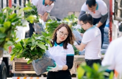 ABBANK gây quỹ thành công 100.000 cây quế tặng bà con tỉnh Yên Bái