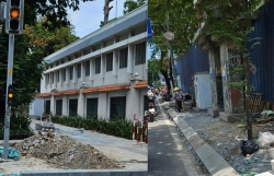 Chấn chỉnh tình trạng cải tạo vỉa hè làm hàng loạt cây xanh bị hỏng rễ