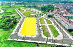 Quy định việc giảm tiền thuê đất năm 2024