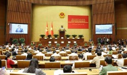 Khai mạc hội nghị toàn quốc quán triệt, triển khai Nghị quyết Trung ương 11