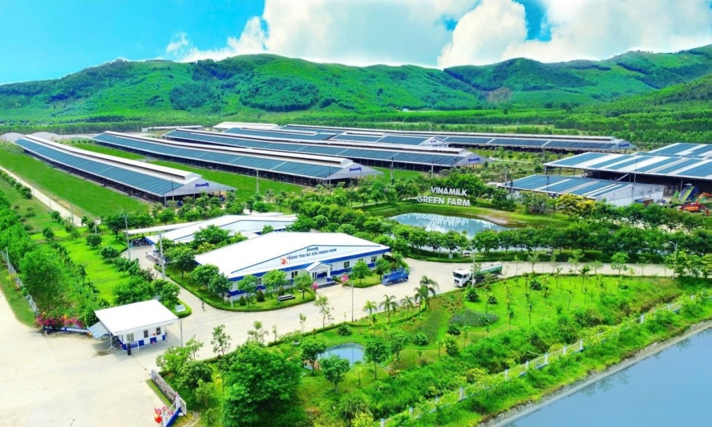 Hệ thống năng lượng mặt trời lắp đặt tại các nhà máy của Vinamilk
