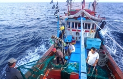 Bà Rịa - Vũng Tàu quyết liệt trong phòng, chống vi phạm IUU