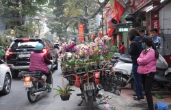 Hà Nội tổ chức lại giao thông trên phố Hoàng Hoa Thám, Ngọc Hà