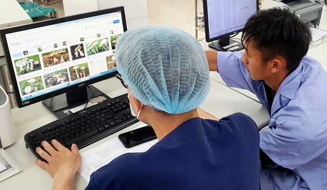 2 vợ chồng ngộ độc nấm rất nặng với biểu hiện hôn mê, tổn thương gan