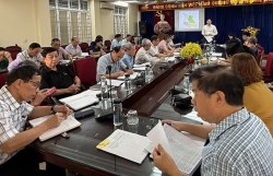 Dự kiến sắp xếp thành 4 đơn vị hành chính cơ sở