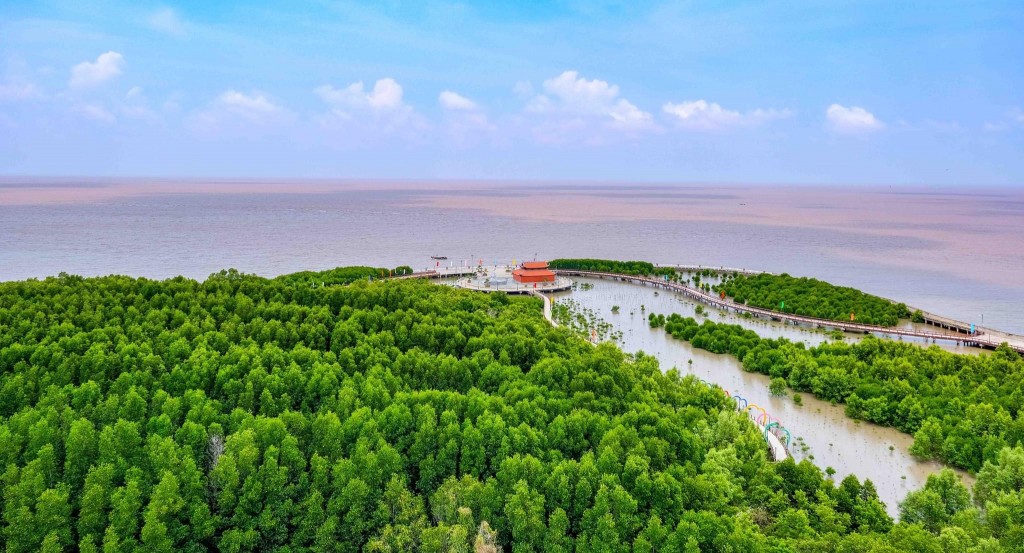 Mũi Cà Mau ở tỉnh Cà Mau với rừng ngập mặn đa dạng sinh học là vùng nuôi tôm nước lợ được nhiều thị trường ưa chuộng