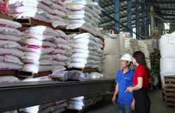 Agribank tiếp sức doanh nghiệp bứt phá kinh doanh bằng nhiều ưu đãi hấp dẫn