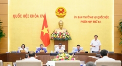 Cử tri bức xúc vì sữa giả, thuốc giả, quảng cáo sai sự thật